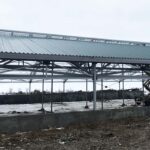 Строительство телятника ЛСТК - «РЕДИКОН Инжиниринг»